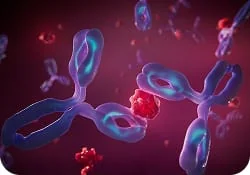 Proinflammatory Cytokines image