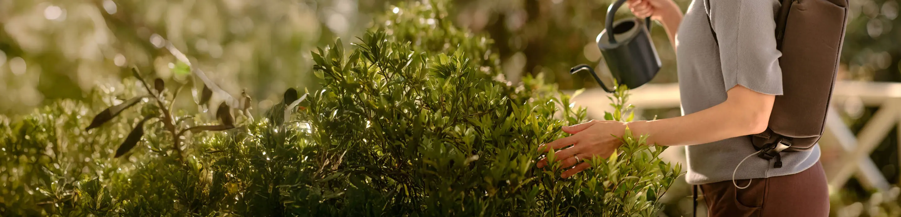 Person watering plants outdoors, actor portrayal